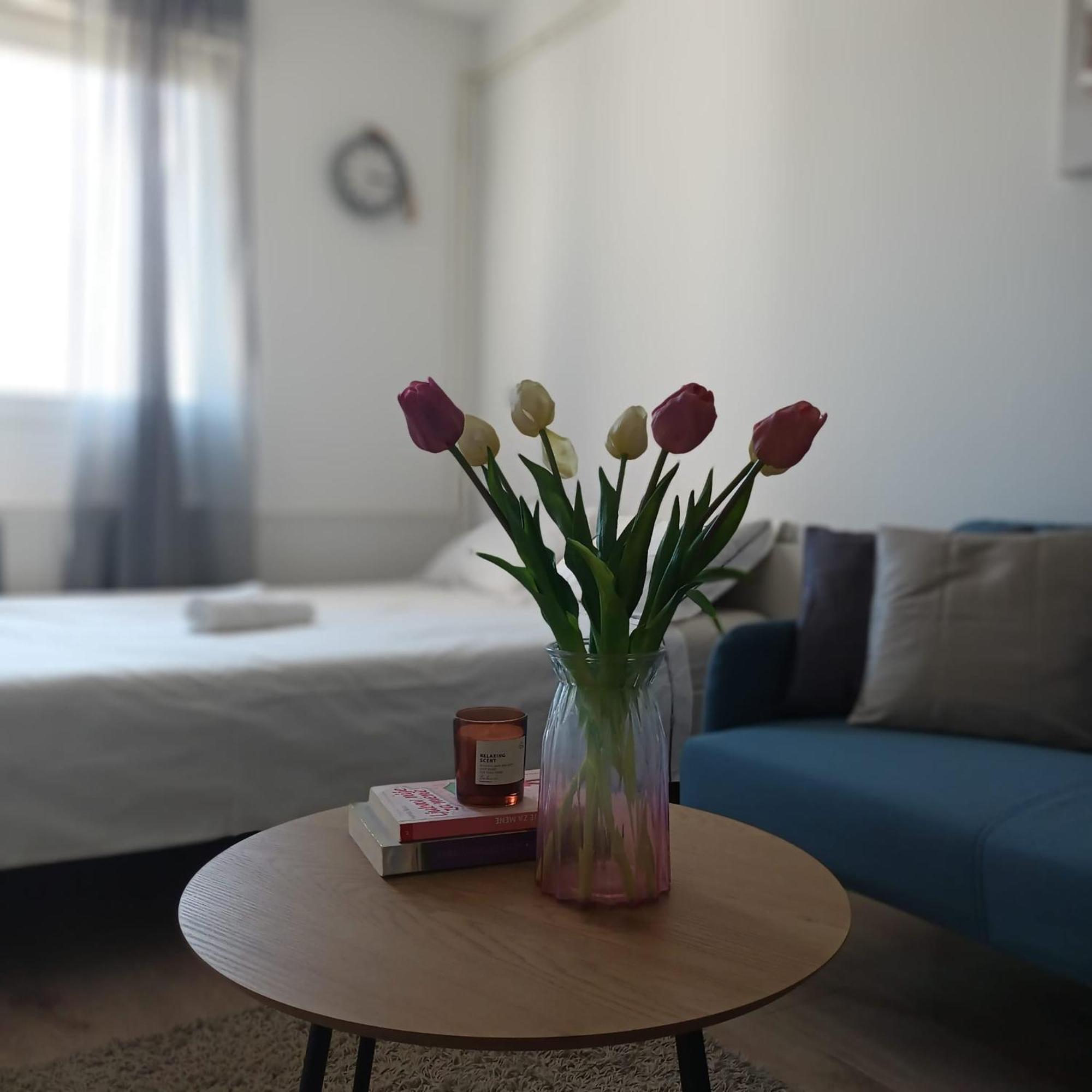 Modern Studio Near City Center ซาเกร็บ ภายนอก รูปภาพ